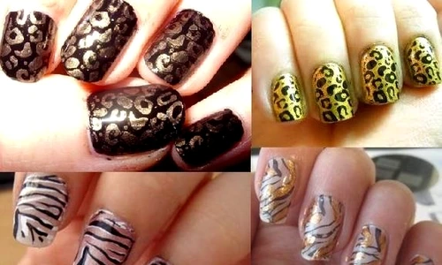 1 62844 original jpg jpeg