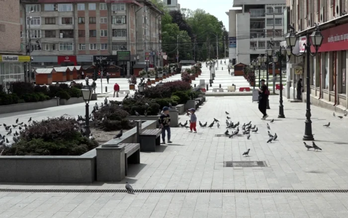 pandemie Suceava