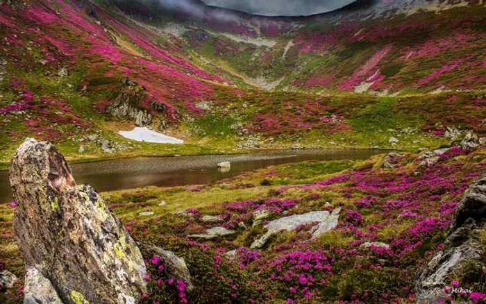 Fotografia realizată de Mihai Nicoară în Munţii Rodnei a fost publicată de National Geographic Magazine