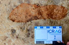 Conturul unei amprente vechi de 2.000 de ani. Culoarea portocalie este adăugată digital (© Universitatea din Aberdeen)