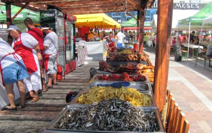 zalau