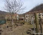 Satul Ciudanovița din Caras Severin Foto Daniel Guță ADEVĂRUL (123) jpg