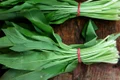leurda planta reteta jpeg