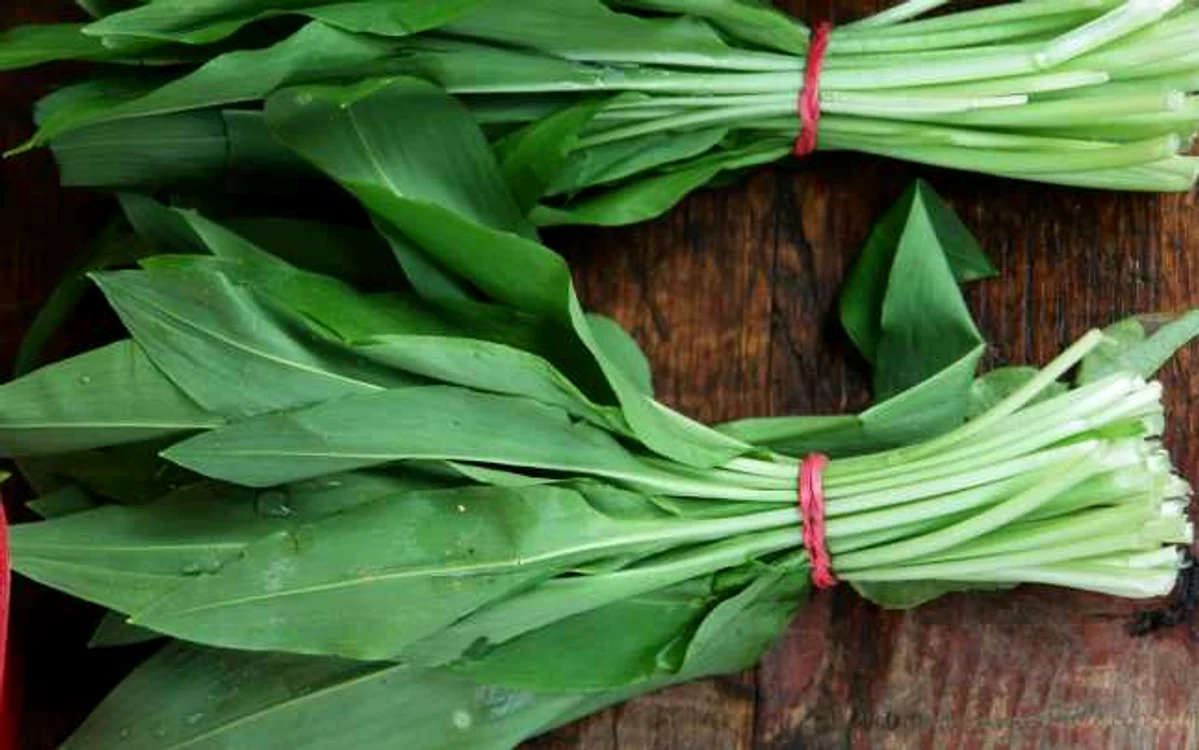Leurda conţine carotenoizi, vitaminele A şi C, vitamine din complexul B, săruri minerale, calciu, fier, fosfor, natriu, magneziu, cupru şi proteineFOTO: adevarul.ro