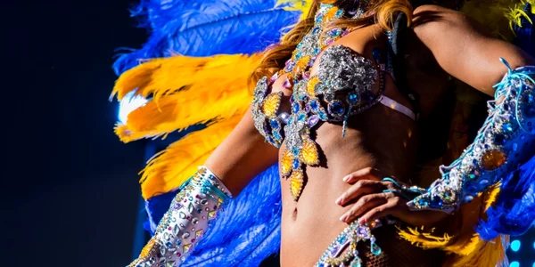 carnaval rio de janeiro foto shutterstock