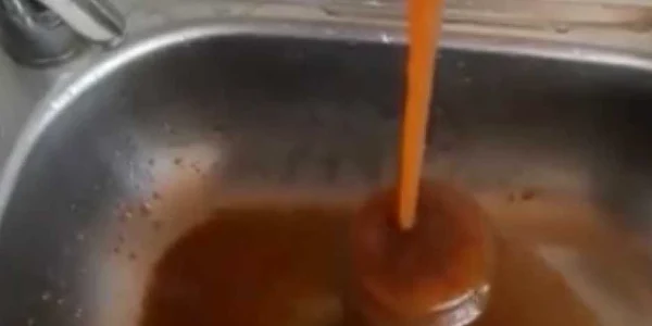 apa