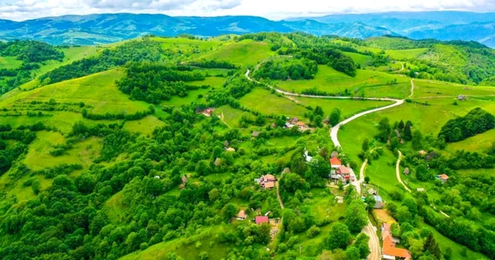 transalpina apuseni alba