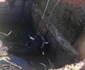 Imagini cu taurul salvat din bazinul cu apă din Creţeni - Vâlcea Foto ISU Vâlcea