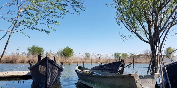 Delta dunării pescari