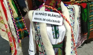 p 24 1 S M  Georgescu jpg
