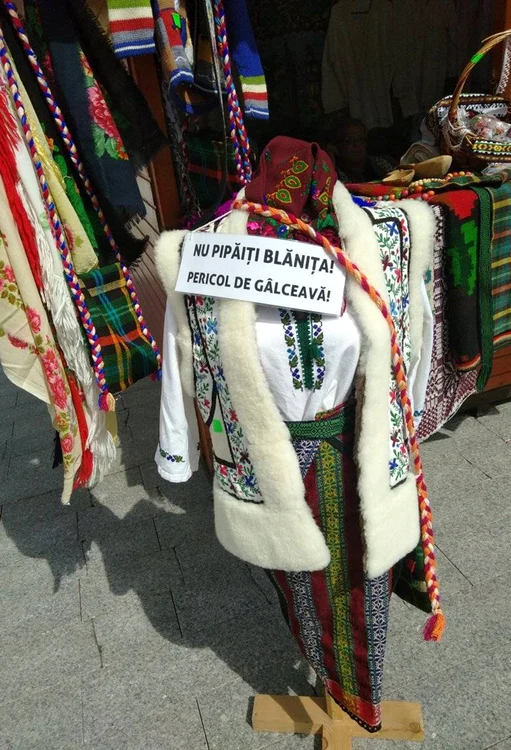 © Ș.M Georgescu