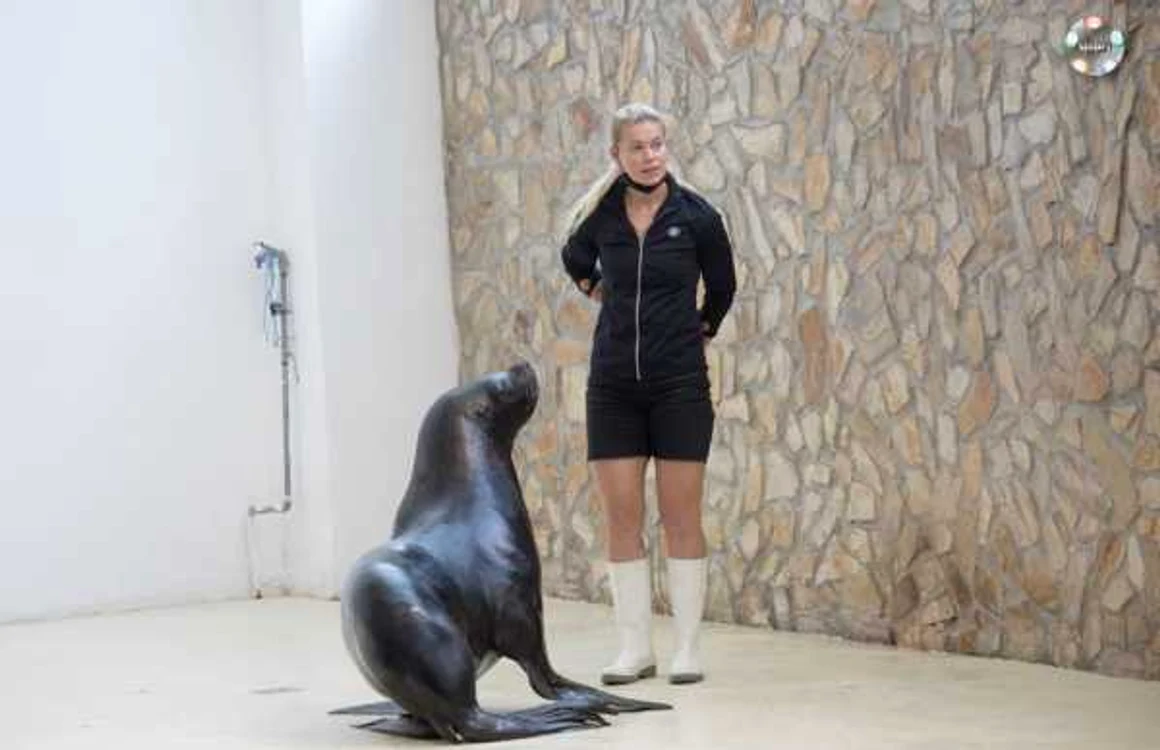 Lei de mare Delfinariul Constanţa