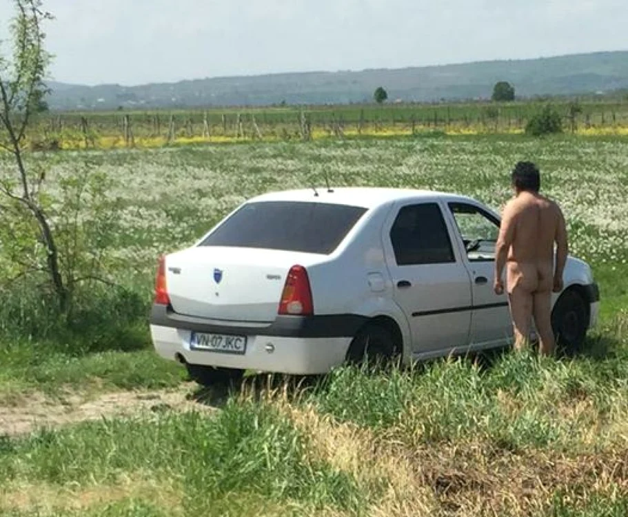 Întâmplarea a avut loc în Vrancea FOTO: Facebook Malus Dacus