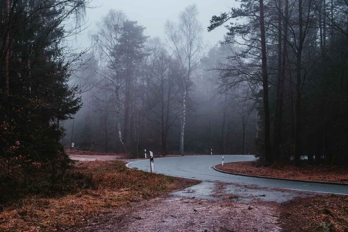 În anumite regiuni se va semnala ceață Foto: unsplash.com