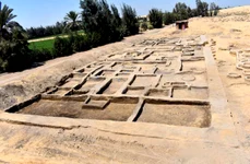 Descoperiri arheologice în Delta Nilului (© Ministry of Tourism and Antiquities)