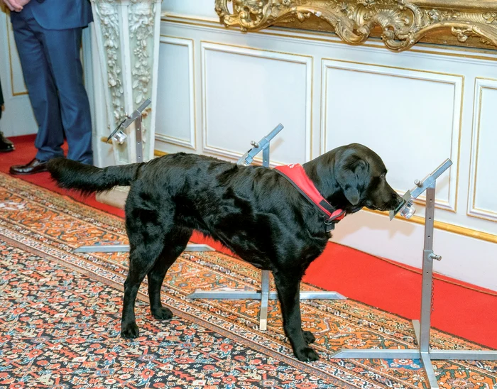 Plum a detectat proba contaminată, Getty Images (1) jpg