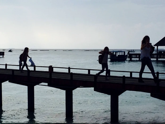 Mihaela Radulescu (Facebook)