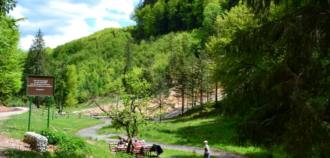 Cascada Urlătoarea din Vama Buzăului