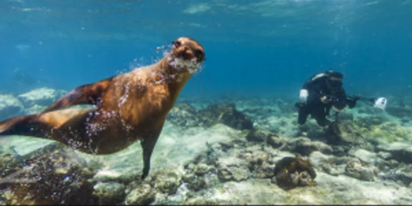 galapagos google street view