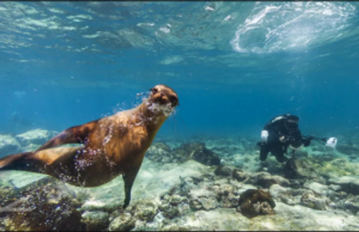 galapagos google street view