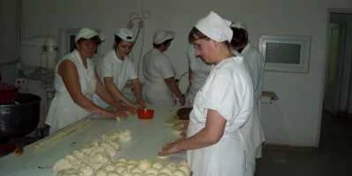 Cursurile practice de brutar la fabrica Germino