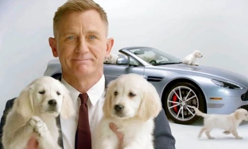 1 73554 original jpg jpeg