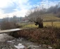 Satul Răscoala din Hunedoara Foto Daniel Guță ADEVĂRUL (19) jpg