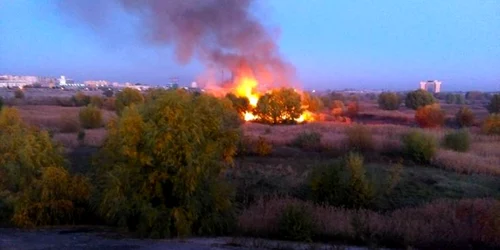 parcul national vacaresti incendiu