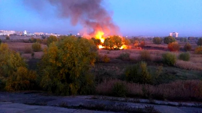 Incendiu în Parcul Văcăreşti, o rezervaţie unică în lume, care ar trebui protejată de autorităţi FOTO: arhivă