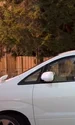 spion roman jpg