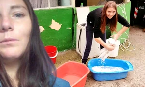 banner vulpița veronica png