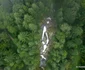 Drumul pe Valea Pietrele spre Lolaia, Retezat  Foto Daniel Guță ADEVĂRUL (7) JPG