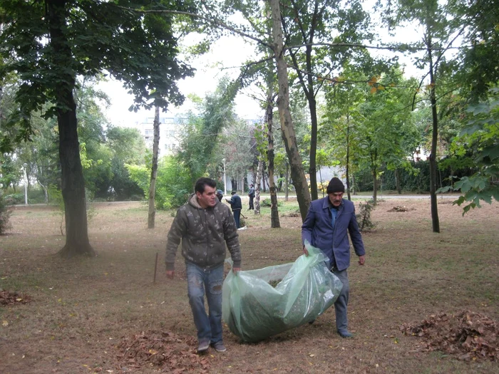 Cosmetizarea spaţiilor verzi a început în Grădina Mare