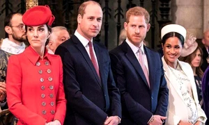 ducii profimedia 0418817115 jpeg