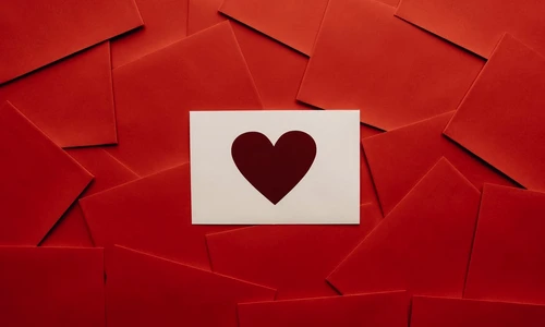 1 pexels photo 6478828 jpg jpeg