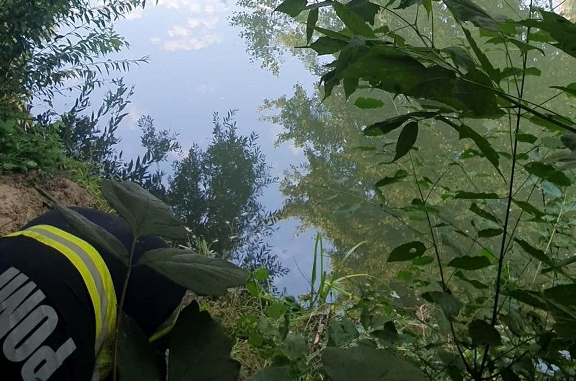 
    Copilul, mama și bunicul s-au înecat în râul Motrufoto: ISU Gorj  