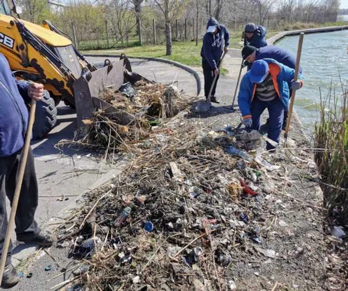 Gunoaie adunate din Lacul Tăbăcărie