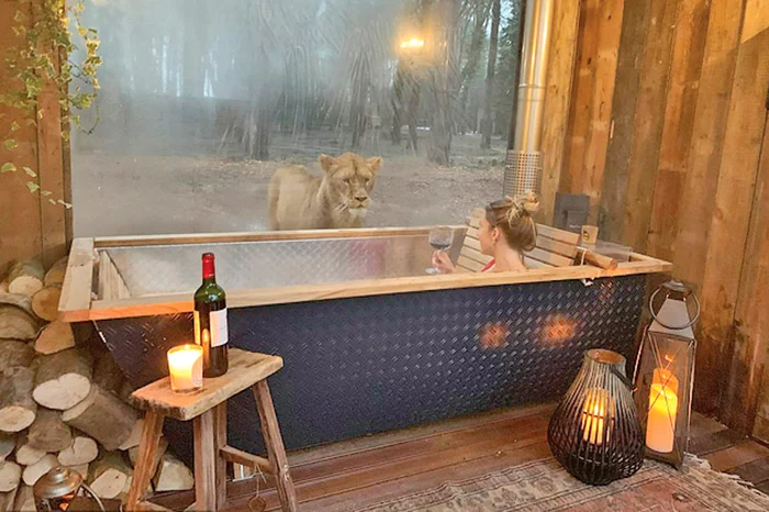 
    Mmm, ce avem noi  aicea? Supă de om?  