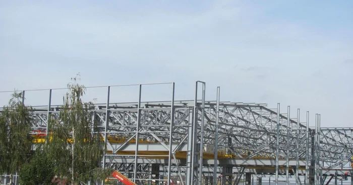 Tenaris este cea mai importantă companie cu capital străin
