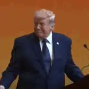 trump gif gif
