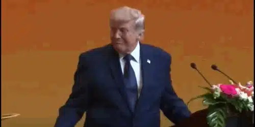 trump gif gif