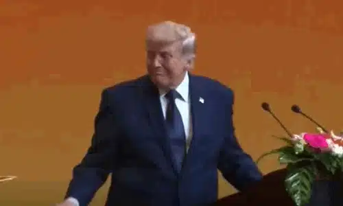 trump gif gif
