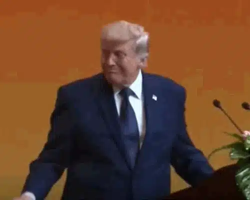 trump gif gif