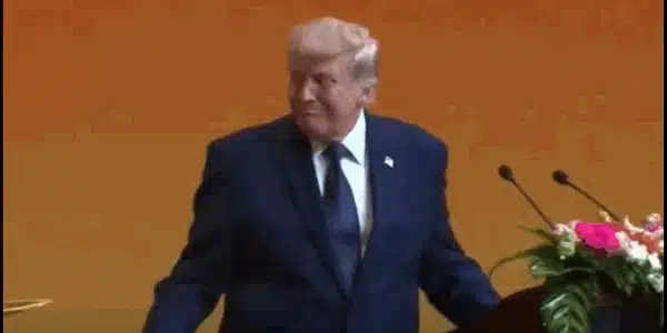 trump gif gif