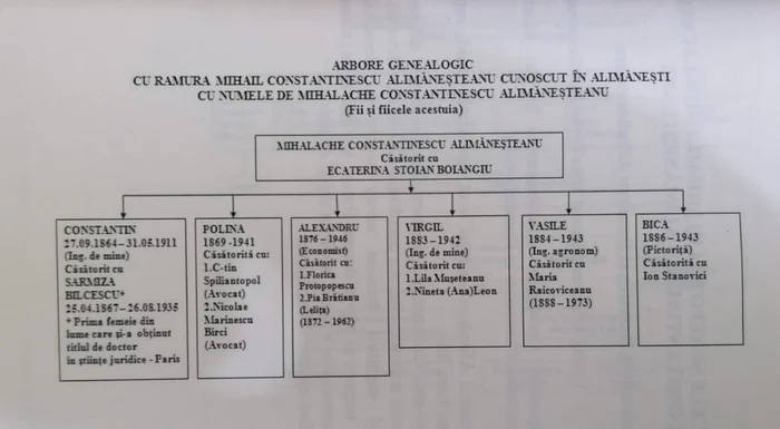 conacul alimanesteanu