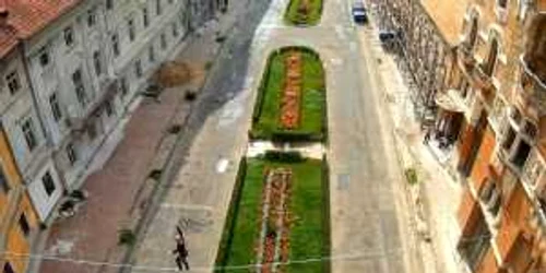 transylvania dragon foto tvr