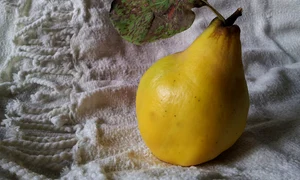 c3df7793 7cf0 4667 9f97 93bb9102c0fc jpeg