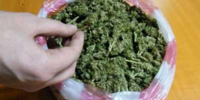 Drogurile valorau 5.500 de euro, pe piaţa neagră. Foto: SCCO Hunedoara