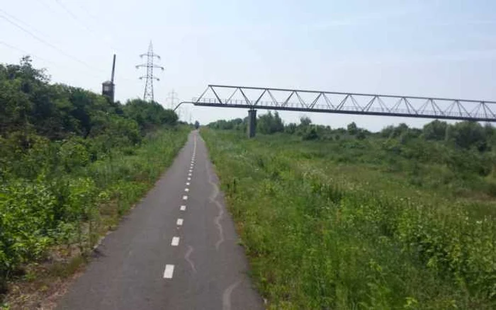 Pista de biciclete de pe digul Begăi FOTO Ştefan Bot