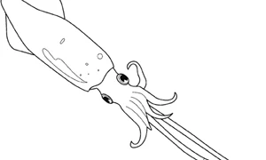 Calamarii inspectorului caracatiţă gif
